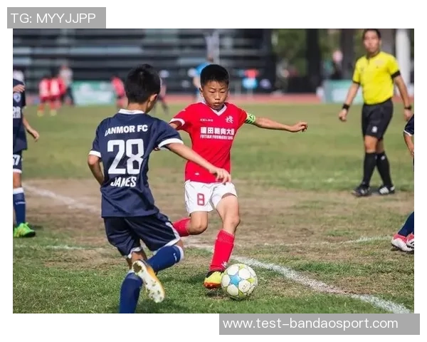 深入解析体彩足球胜负彩玩法与策略助你赢得更多奖金的秘诀